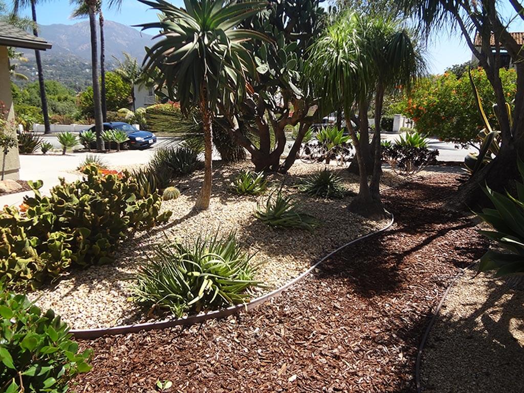Santa Barbara Native Plant Garden | Landscapers Santa Barbara