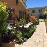 Gardeners Santa Barbara | SB Evolution Landscape