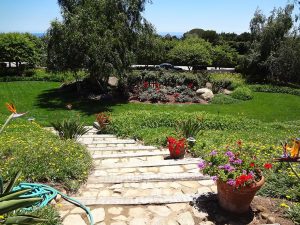 Commercial landscaping in Santa Barbara