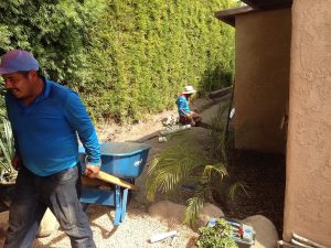 Landscaping and Maintenance of Plants