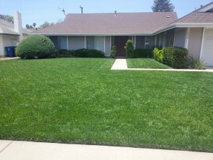 Residential Landscaper in Hope Ranch | Landscapers Santa Barbara