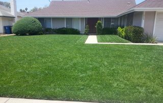 Best Residential landscaper company in Hope Ranch