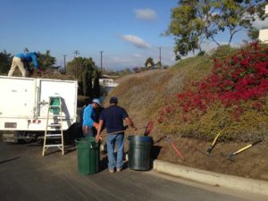 Lawn care agency in santa barbara-sbevolutionlandscape