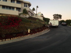 Lawn care agency in santa barbara-sbevolutionlandscape