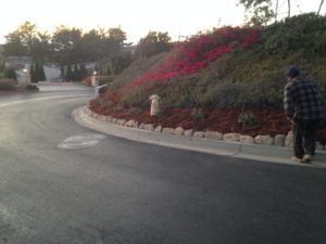 Lawn care agency in santa barbara-sbevolutionlandscape