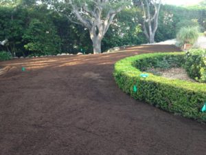 Sods landscaping Preparation-SB Evolution Landscape