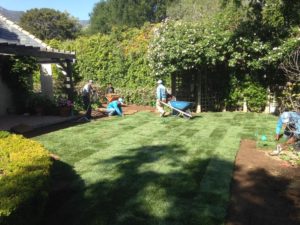 Sods landscaping-SB Evolution Landscape