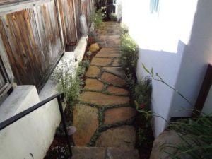 Flagstone Pathway Installation and landscaping-SB Evolution Landscape