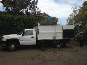 Lawn care Company in Santa Barbara-SB Evolution Landscape