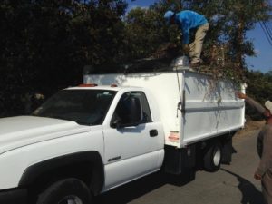 Waste / Junk Removal-SB Evolution Landscape