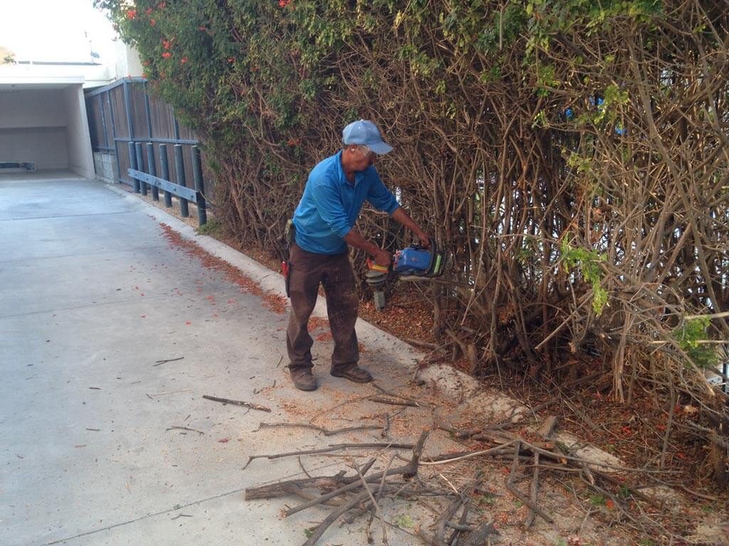 Landscaper in Santa barbara-sbevolutionlandscape