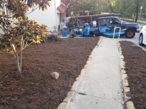 Landscaping Contractor in Santa Barbara-SB Evolution Landscape