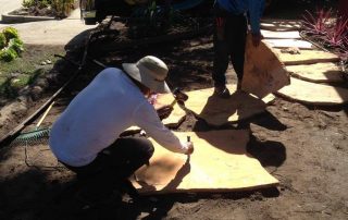 Flagstone Installation in Santa Barbara-SB Evolution Landscape