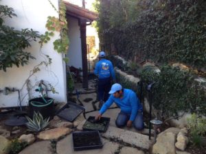 Landscaper in Santa barbara-sbevolutionlandscape