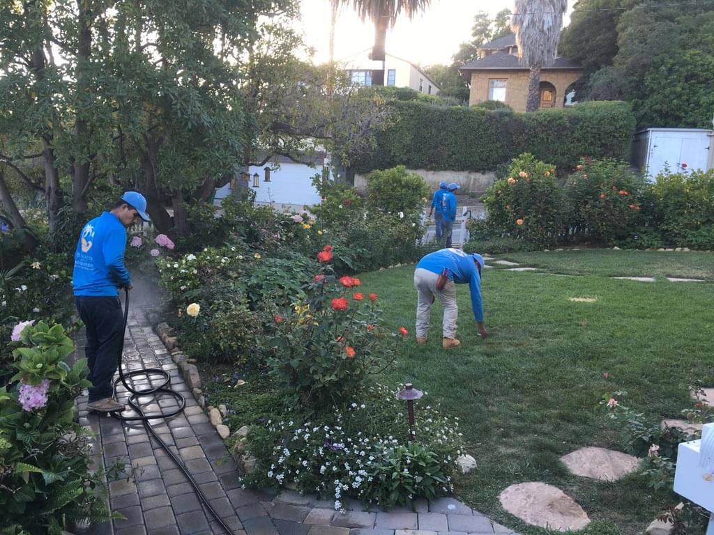 Landscape Maintenance