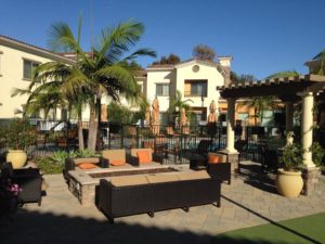Landscaping in Courtyard Marriot-sbevolutionlandscape