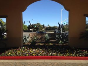 Landscaping in Courtyard Marriot-sbevolutionlandscape