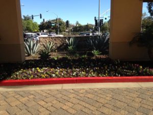 Landscaping in Courtyard Marriot-sbevolutionlandscape