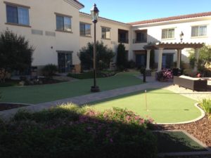 Landscaping Maintenance in Courtyard Marriot-sbevolutionlandscape