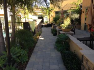 Landscaping Maintenance in Courtyard Marriot-sbevolutionlandscape