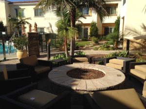 Landscaping Maintenance in Courtyard Marriot-sbevolutionlandscape