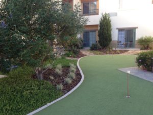 Landscaping in Courtyard Marriot-sbevolutionlandscape