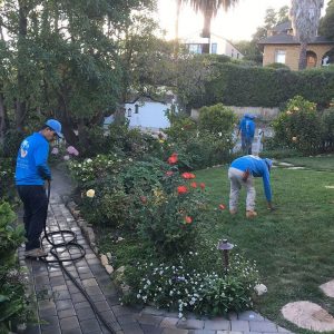 Landscape Contractor