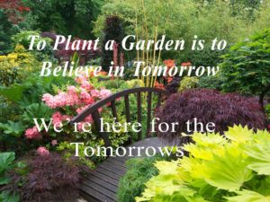 Garden image