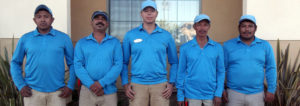 sb evolution landscape service team