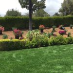 Landscape Contractors Santa Barbara | SB Evolution Landscape