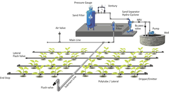 drip irrigation