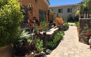 Gardening Expert in Santa Barbara-SB Evolution Landscape