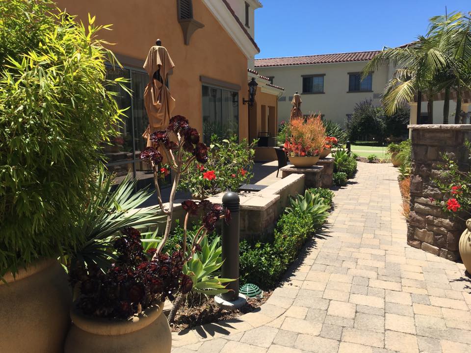 Gardening Expert in Santa Barbara-SB Evolution Landscape