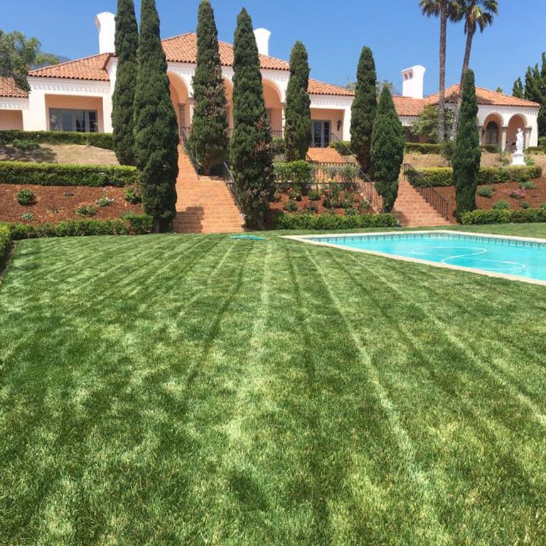 The “green” lawn: Sustainable turf