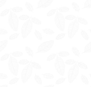 leaf bg