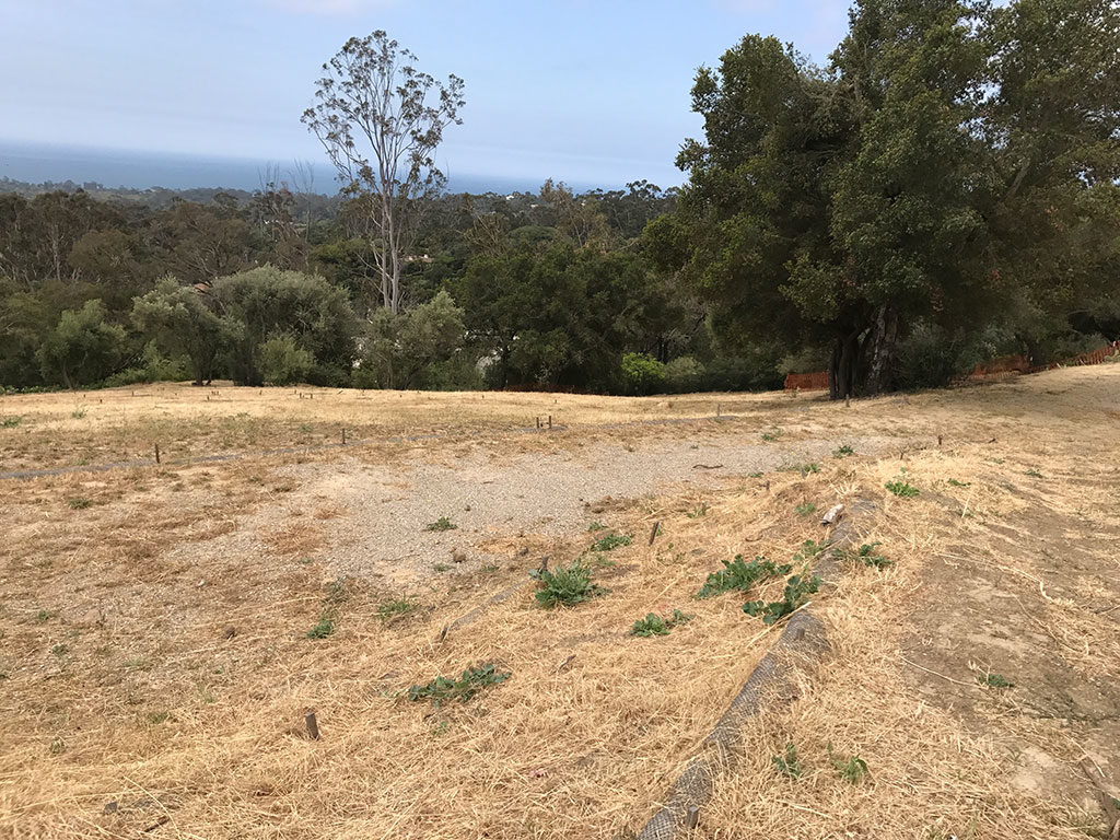 Brush clearing in Santa Barbara