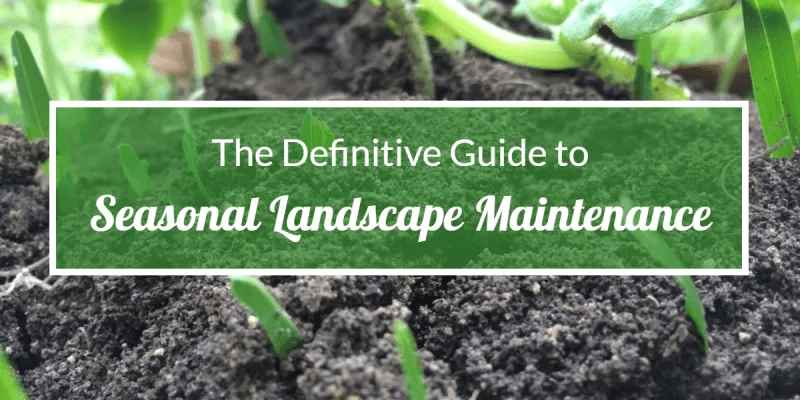 Landscape maintenance