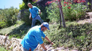 Santa Barbara Commercial Gardener Crew