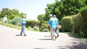 Busy Gardener in Santa Barbara