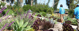 Gardener Tour Santa Barbara