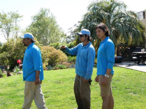 Garden Maintenance Services
