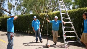 Santa Barbara Gardener Services