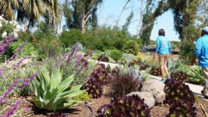 Santa Barbara Gardener Services Tour
