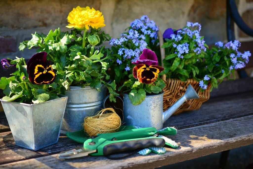 Gardeners Flowers Ideas