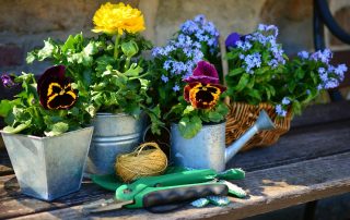 Gardeners Flowers Ideas