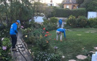 landscaping santa barbara ca