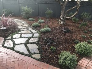 Landscape Maintenance SB