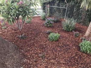 Landscape Maintenance SB