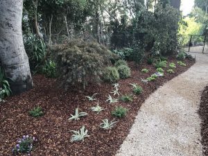 Landscape Maintenance SB