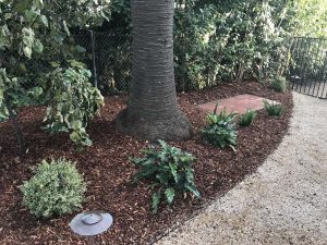 Landscape Maintenance SB